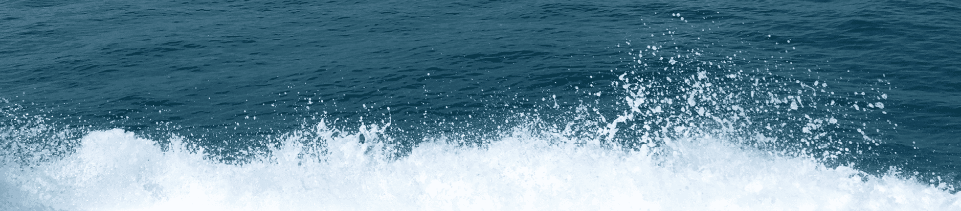 Performance Snapshot